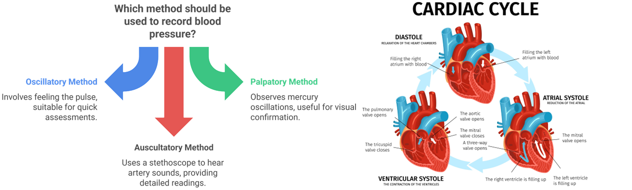 Introduction Blood Pressure